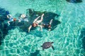 Cayman Turtle Centre