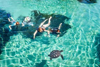 Cayman Turtle Centre