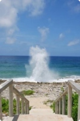 The Blowholes